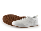 Timberland Sneaker