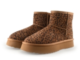Shoecolate Stiefeletten