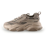 Steve Madden Sneaker