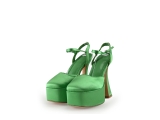 Toral pumps