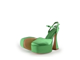 Toral pumps