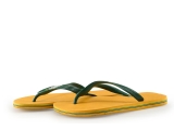 Havaianas Flip-Flops