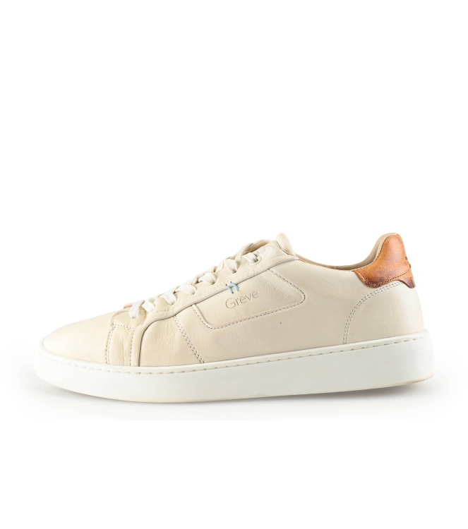 Greve Sneaker