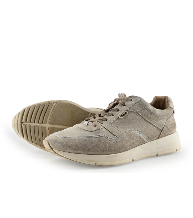 Greve Sneaker