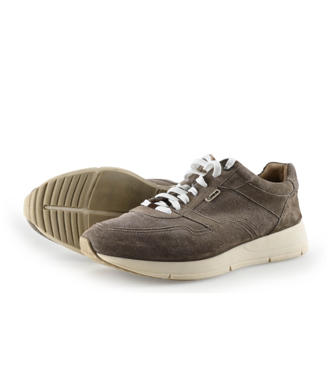 Greve Sneaker