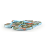 Havaianas Flip-Flops