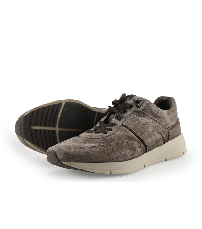 Greve Sneaker