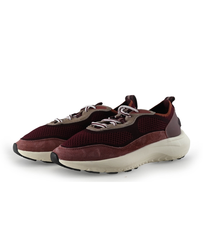 The Hoff Brand Sneaker