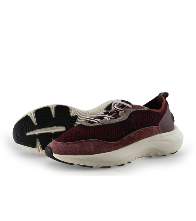 The Hoff Brand Sneaker