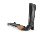 Toral Stiefel