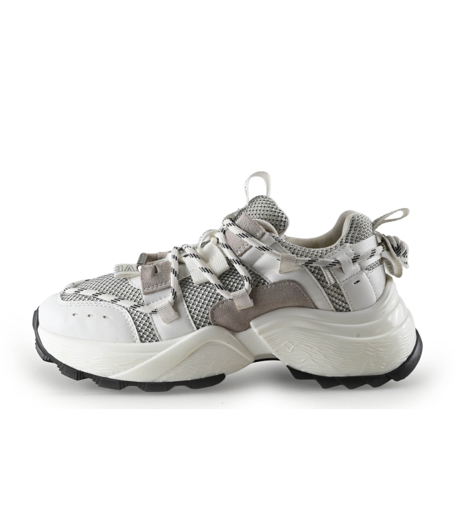 Steve Madden Sneaker