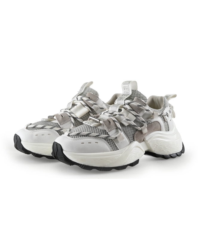 Steve Madden Sneaker