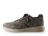 Greve Sneaker