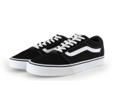 Vans Sneaker
