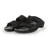 Rohde Flip-Flops