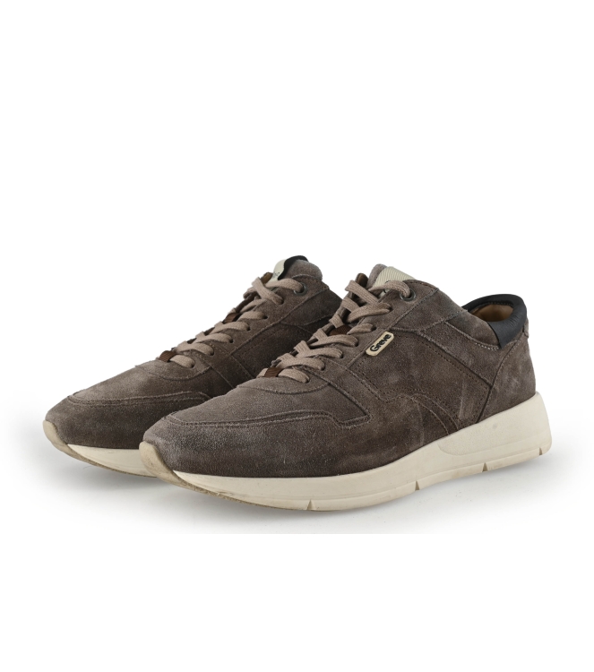 Greve Sneaker