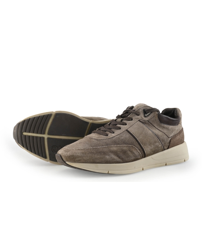 Greve Sneaker
