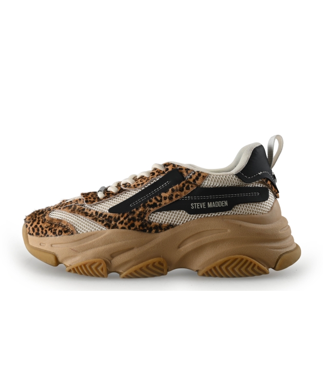 Steve Madden Sneaker