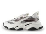 Steve Madden Sneaker