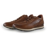 Greve Sneaker