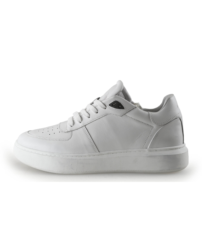 Manfield Sneaker