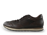 Greve Sneaker