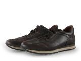 Greve Sneaker