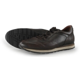 Greve Sneaker