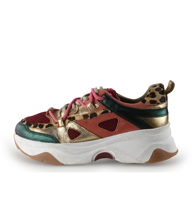 Sacha Sneaker