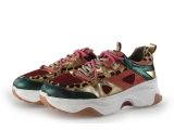 Sacha Sneaker