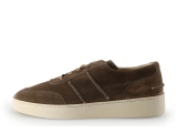 Greve Sneaker