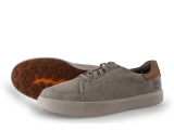 Timberland Sneaker