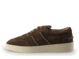 Greve Sneaker