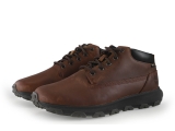 Timberland Sneaker
