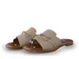DSTRCT Flip-Flops