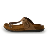 Rohde Flip-Flops