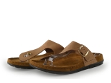 Rohde Flip-Flops
