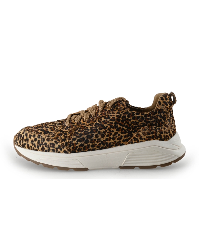 Xsensible Sneaker
