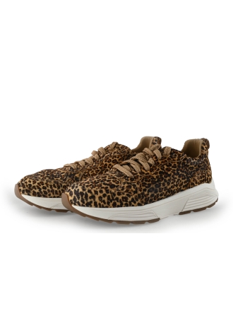 Xsensible Sneaker Leopardenmuster 350289
 Größe 41
 