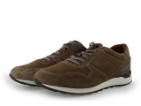 Greve Sneaker