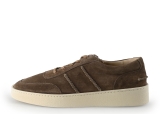 Greve Sneaker