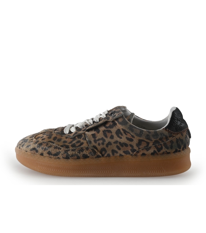 Steve Madden Sneaker