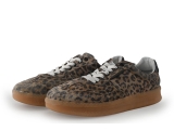 Steve Madden Sneaker