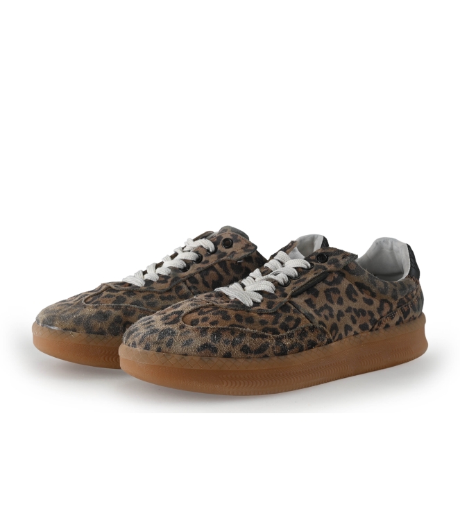 Steve Madden Sneaker