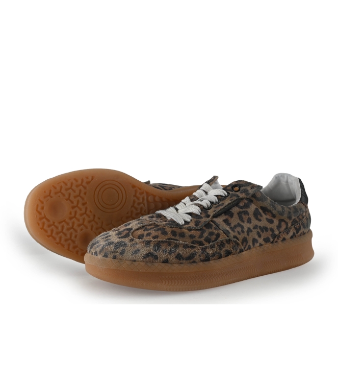 Steve Madden Sneaker