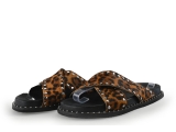 Sacha Flip-Flops