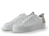 Manfield Sneaker