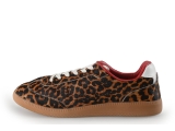 Sacha Sneaker