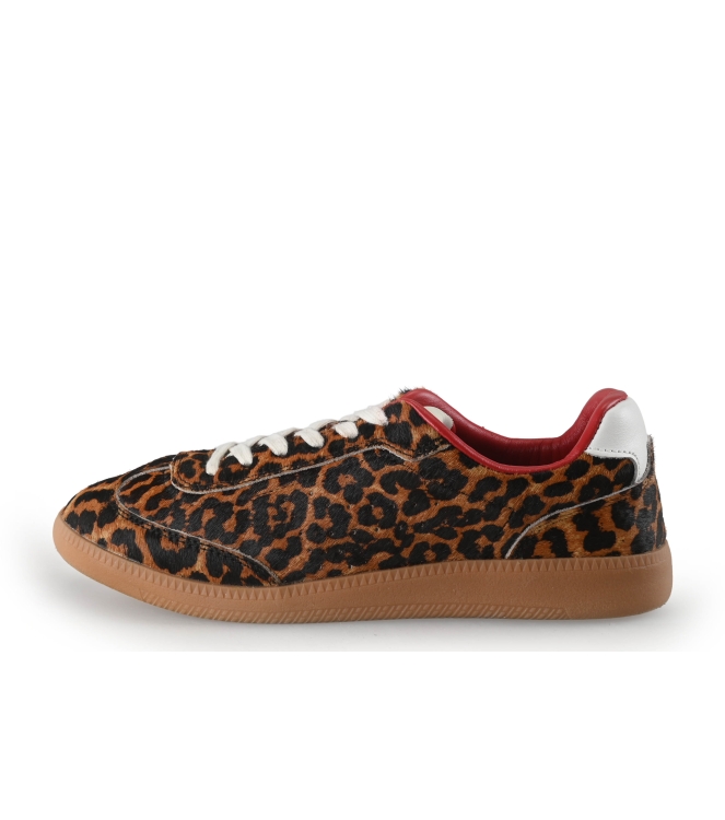 Sacha Sneaker