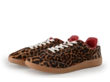 Sacha Sneaker